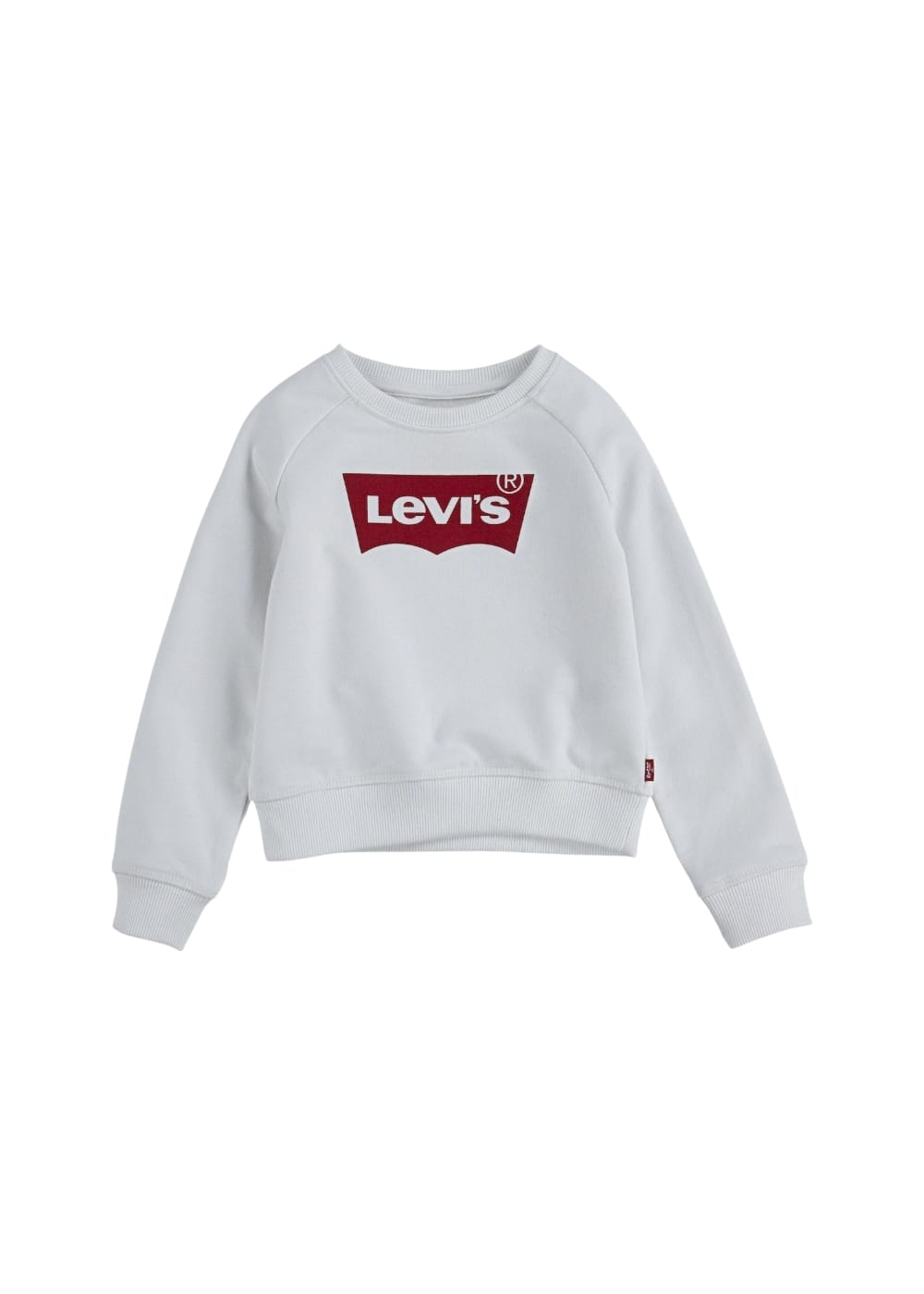 Featured image for “Levi's Felpa Logo Frontale”