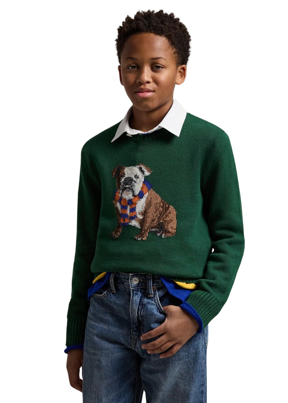 Featured image for “Polo Ralph Lauren Maglia Con Cane A Intarsi”